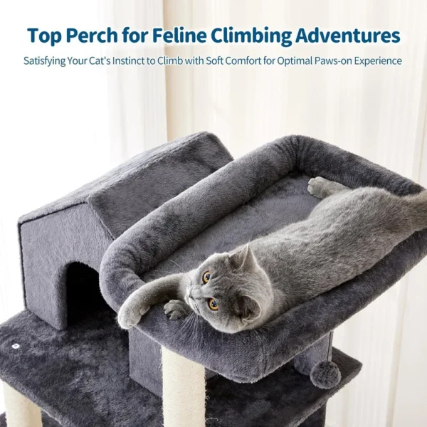 10004 Happy cat resting on multiple platforms of activity tree at home