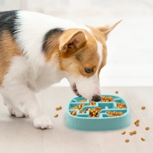 10004 Durable material and easy-clean surface pet bowl