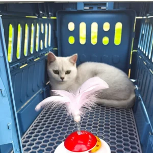 10005 Ventilated design of pet carrier crate ensuring comfort for pets