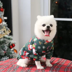 Large dog wearing Christmas fleece sweatshirt in cozy holiday home setting – ideal for festive pet displays