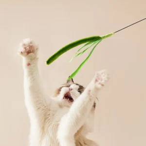 10005 Pet Owner Using Grass Tail Cat Toy for Indoor Cat Exercise
