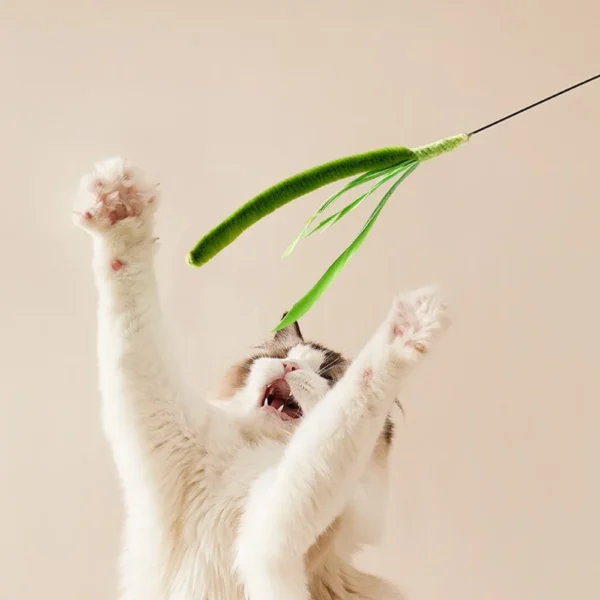 10005 Pet Owner Using Grass Tail Cat Toy for Indoor Cat Exercise