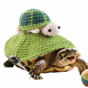Hand-Knitted Turtle Outfit – Cute Knit Clothes for Small Pets | Wholesale Supply