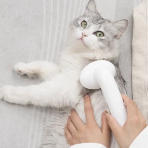 10006 Cat being massaged with silicone grooming scrubber during bath