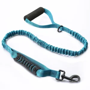 Reflective Anti-Pull Elastic Dog Leash – Shock Absorbing Training Lead for Safe Walking