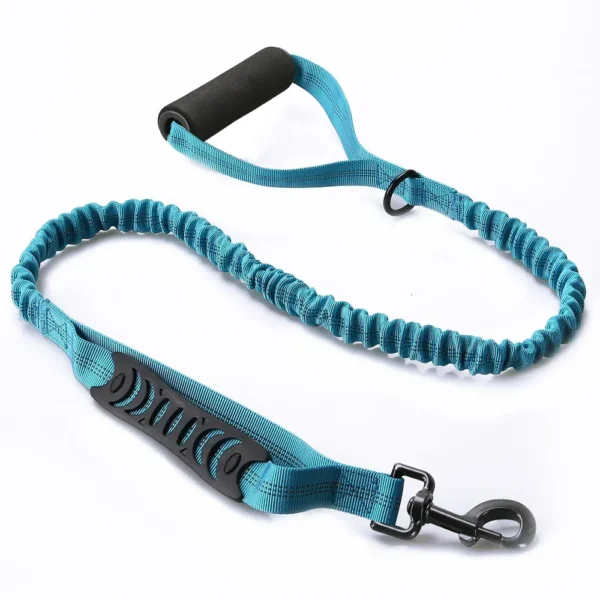 Reflective Anti-Pull Elastic Dog Leash – Shock Absorbing Training Lead for Safe Walking