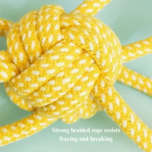 Dog playing with braided rope ball chew toy indoors interactive training