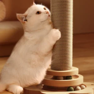 Cat playing with teaser ball on 3-in-1 scratching tower in living room