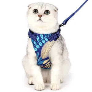Cat leash and collar set bulk