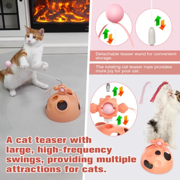 10008 Cat Engaging with Interactive Ball Track and Teaser Wand in Home Environment
