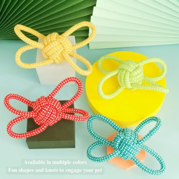 10008 Dog playing with braided rope ball chew toy indoors interactive training