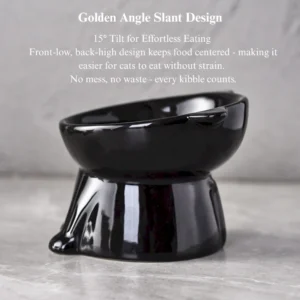 Anti-vomit tilted ceramic cat bowl showing neck protection and easy food access