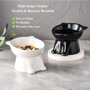 Anti-vomit tilted ceramic cat bowl showing neck protection and easy food access