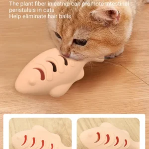 2-in-1 interactive cat toy 2-in-1 interactive cat toy
