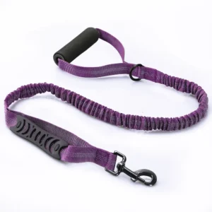 Elastic reflective dog leash in purple color option