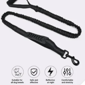 Shock-absorbing elastic section detail of dog training leash