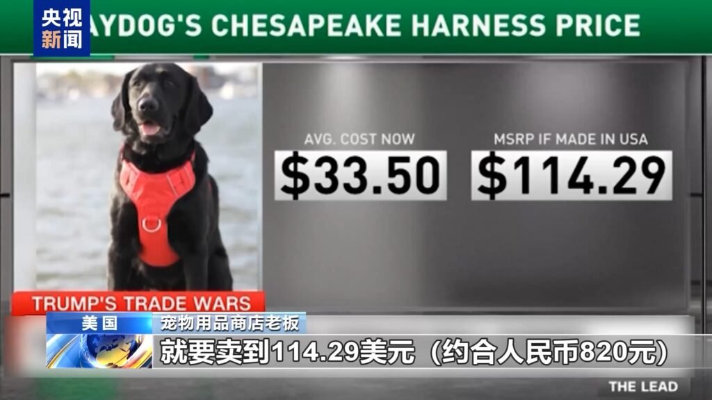 Import Pet Products to the US in 2026 | JustForPetStore