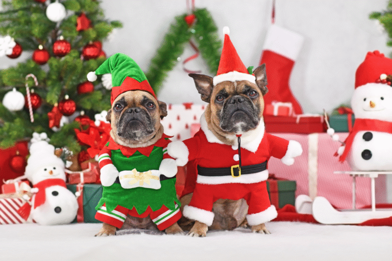 Dog apparel Christmas