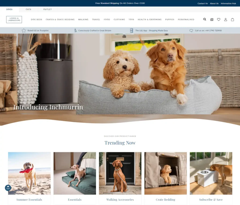 How to Find High-Traffic Shopify Stores in the Pet Category 