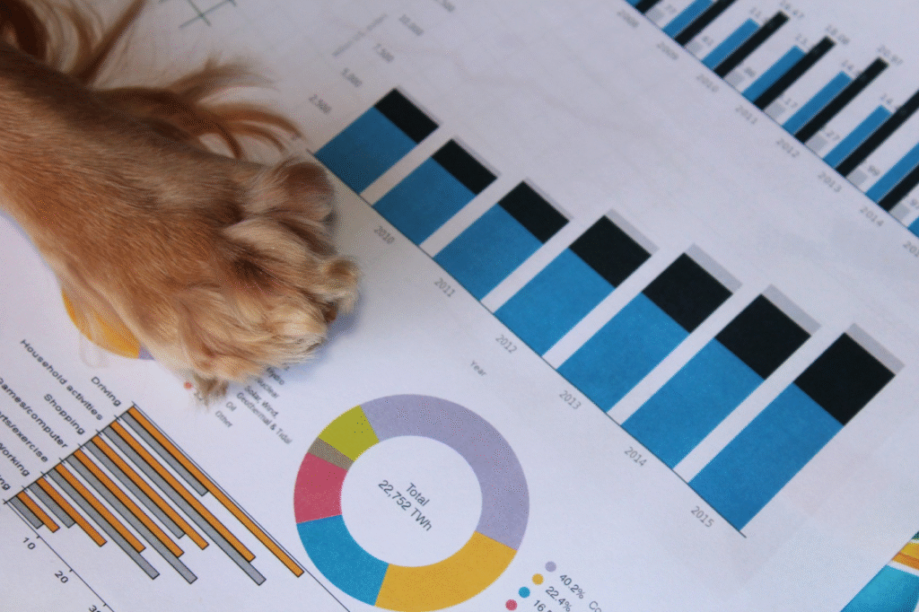 2025 Pet Supplies Wholesale Trends: How Small Pet Stores in Europe & North America Should Choose Products