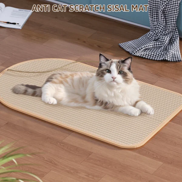 10001 Cat playing on natural sisal wall protector scratcher mat for furniture protection