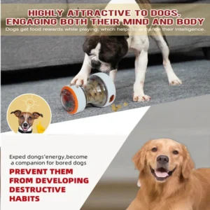Dog playing with interactive food dispenser toy treat ball