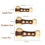 Dog Paw Bone