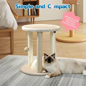 Close-up of sisal rope scratching posts and hanging play ball toy