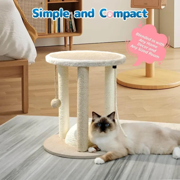 10001 Close-up of sisal rope scratching posts and hanging play ball toy