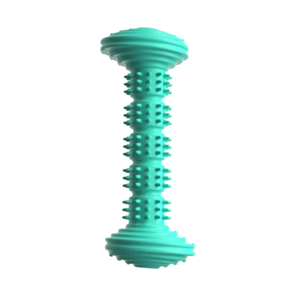 10002 Turquoise TPR dog dental chew stick bone shape teething toy