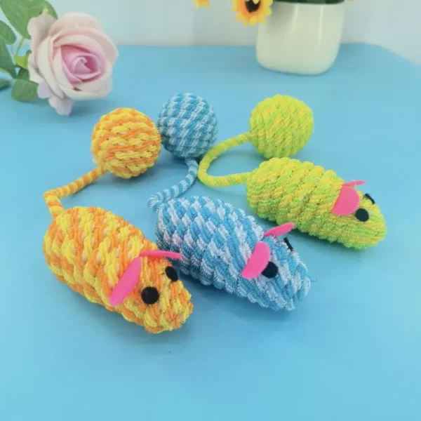10002 Cat playing with colorful woven mouse toy with tail ball"
