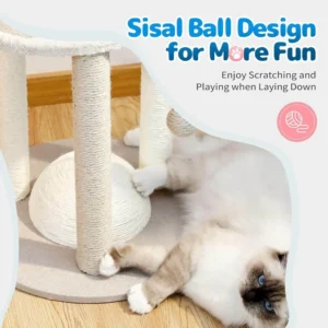 Cat playing with sisal scratching post and rope toy on small cat tree