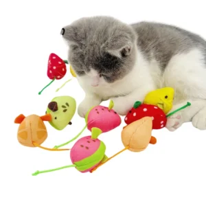 Cat playing with fruit mouse toy on the floor