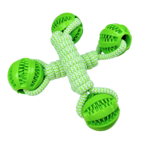 10003 Dog playing tug-of-war with cotton rope chew toy outdoors