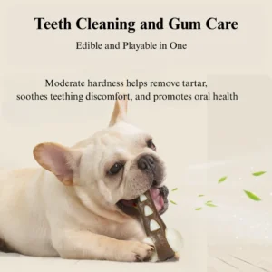 Dog chew bone toy helps clean teeth, reduce plaque, and satisfy chewing needs