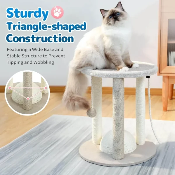 10003 Close-up of sisal rope scratching posts and hanging play ball toy