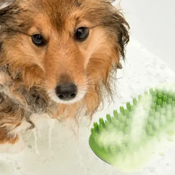 10004 Dog being bathed with green massage pet bath brush