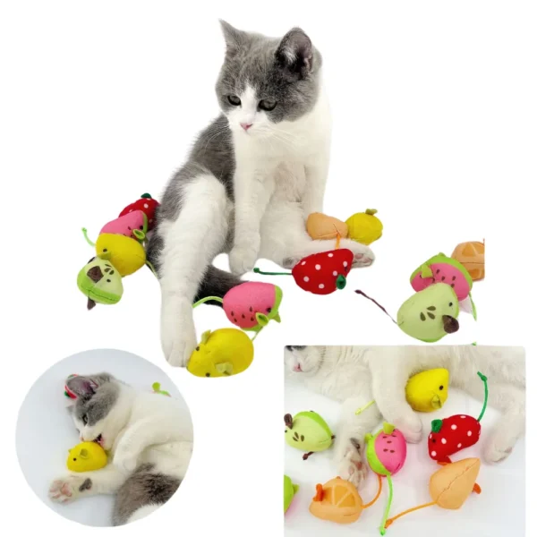 10004 Cat playing with fruit mouse toy on the floor