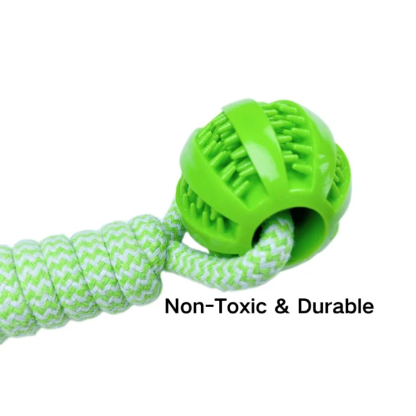 10004 Close-up of textured TPR dog ball with teeth-cleaning grooves
