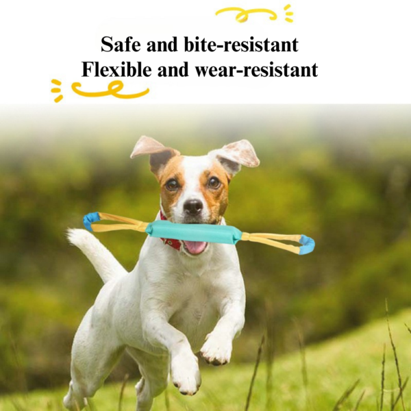10005 Dog playing tug-of-war with interactive rope toy outdoors