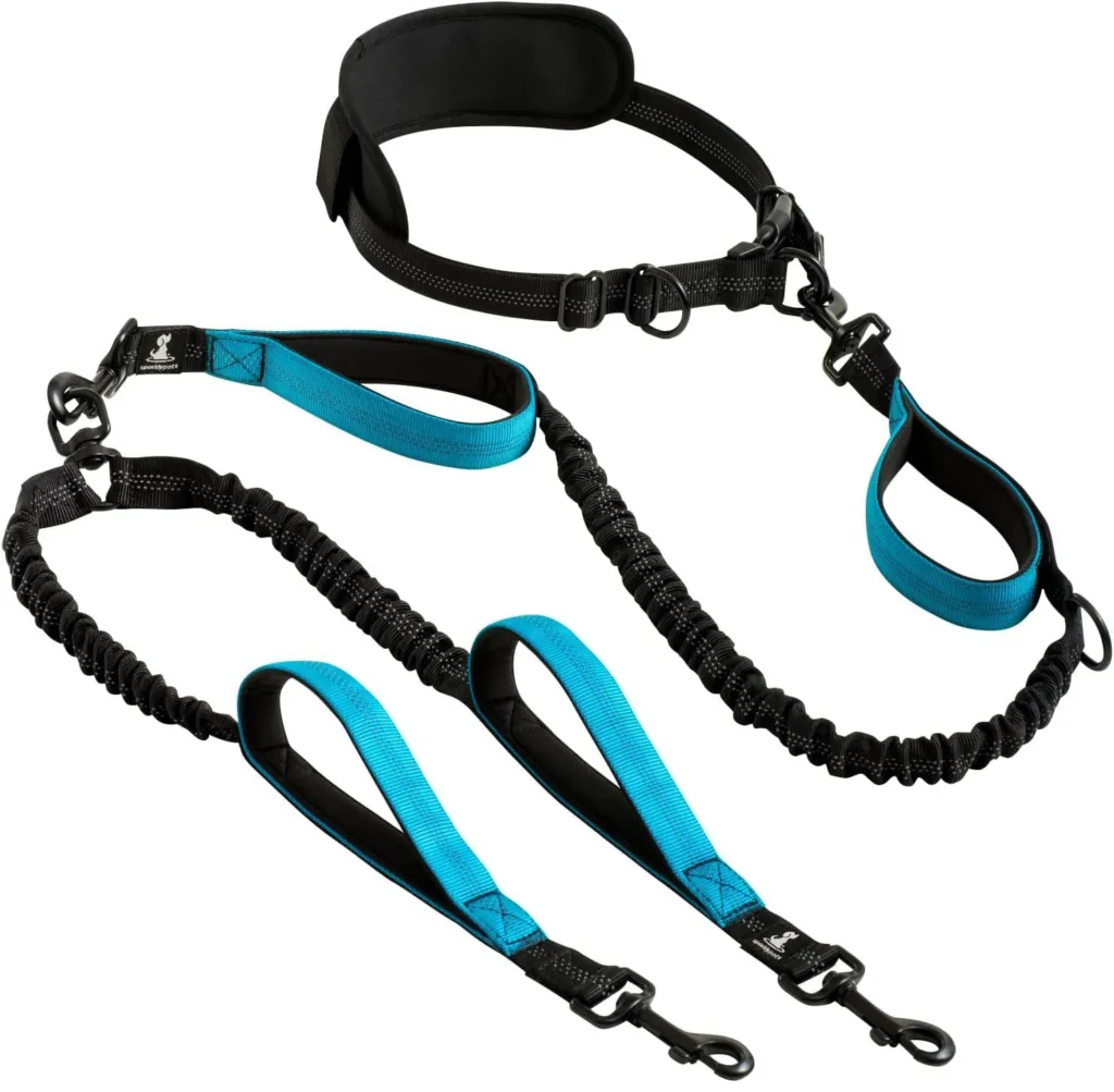 Walking Essentials Kit