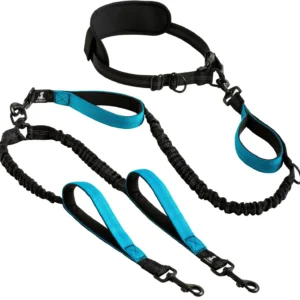 Wholesale hands-free double dog running leash with waist belt and bungee design