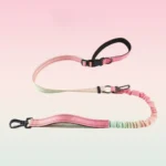 Pink Green Gradient