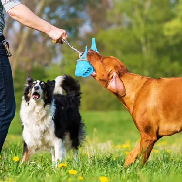 10006 Dog playing with shark chew toy with rope for interactive chewing and fetching