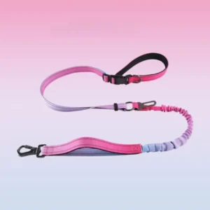 10007 Gradient color bungee dog leash available in Pink Green, Pink Purple, and Blue Pink options