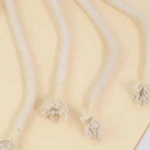 10007 Close-up of plush carrot-shaped cat toy with chew rope tail
