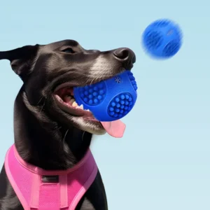 10007 Dog playing fetch with floating squeaky TPR chew ball outdoors
