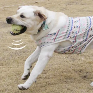 10007 Interactive squeaky plush dog ball toy for chewing and fetching