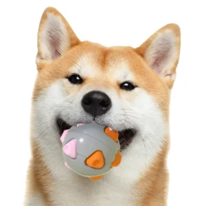 10007 Dog playing with interactive TPR squeaky ball toy – wholesale pet supplies