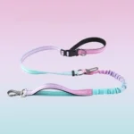 Blue Pink Gradient